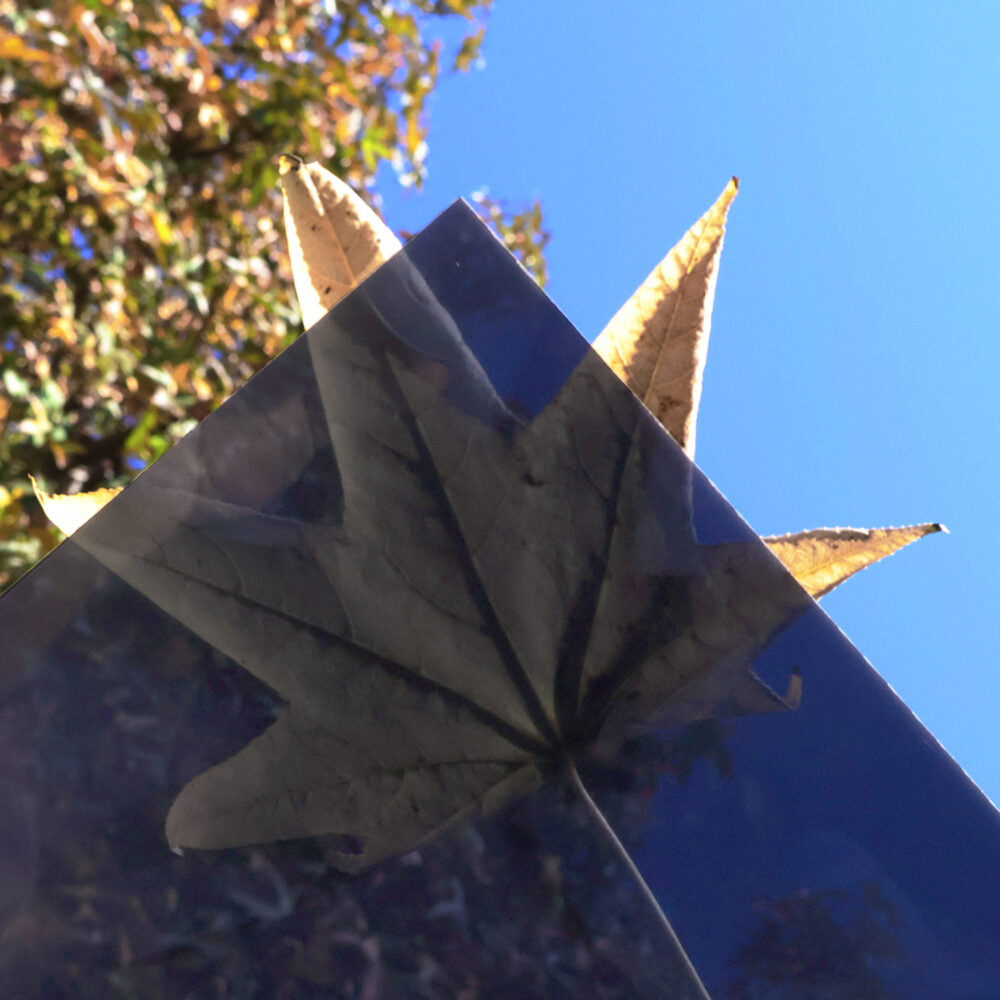 Close-up of a tinted surface with a leaf pattern against a clear blue sky.